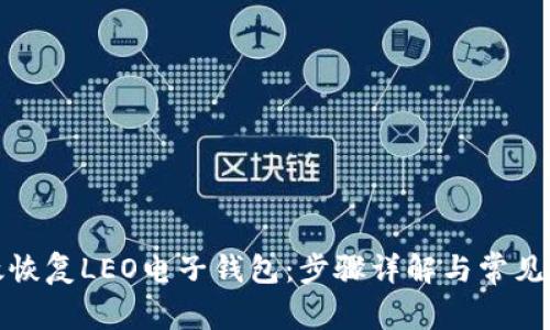 如何有效恢复LEO电子钱包：步骤详解与常见问题解答