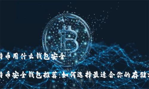 比特币用什么钱包安全

比特币安全钱包推荐：如何选择最适合你的存储方式