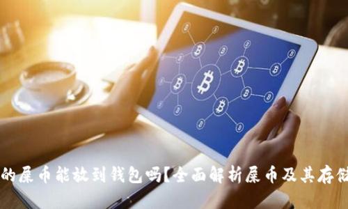 买了的屎币能放到钱包吗？全面解析屎币及其存储方法