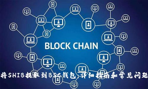 如何将SHIB提取到BSC钱包：详细指南和常见问题解答