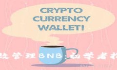 TP钱包如何高效管理BNB：初
