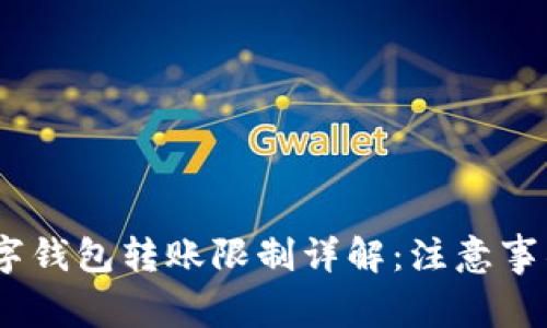 USDT个人数字钱包转账限制详解：注意事项与操作指南