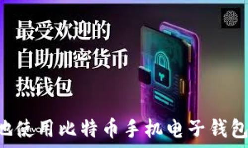   
如何安全地使用比特币手机电子钱包：全面指南