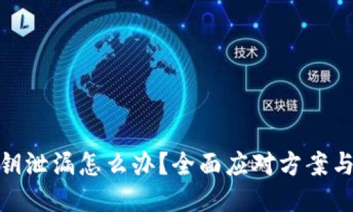 TP钱包私钥泄漏怎么办？全面应对方案与预防措施