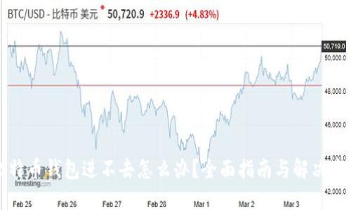 比特币钱包进不去怎么办？全面指南与解决方案