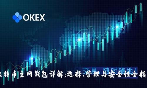 比特币主网钱包详解：选择、管理与安全性全指导