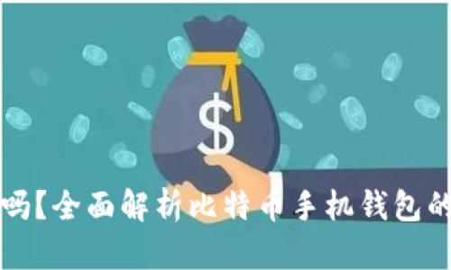 比特币手机钱包安全吗？全面解析比特币手机钱包的安全性及其使用技巧