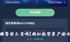 TP钱包被盗报警能立案吗？