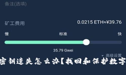 : TokenPocket密钥遗失怎么办？找回和保护数字资产的全面指南