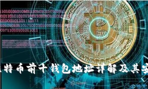 2023年比特币前十钱包地址详解及其安全性分析