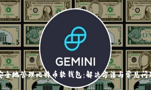 如何安全地管理比特币软钱包：解决方法与常见问题解析