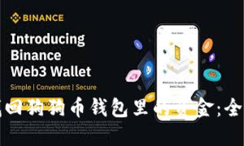 如何找回狗狗币钱包里的资金：全面指南