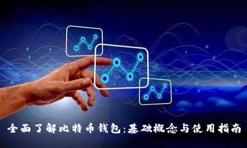 全面了解比特币钱包：基础概念与使用指南