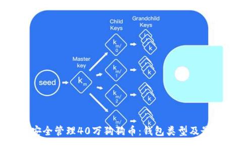 如何安全管理40万狗狗币：钱包类型及最佳实践