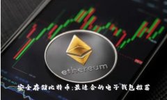 安全存储比特币：最适合
