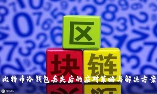比特币冷钱包丢失后的应对策略与解决方案