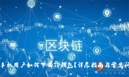非苹果手机用户如何下载TP钱包？详尽指南与常见问题解答