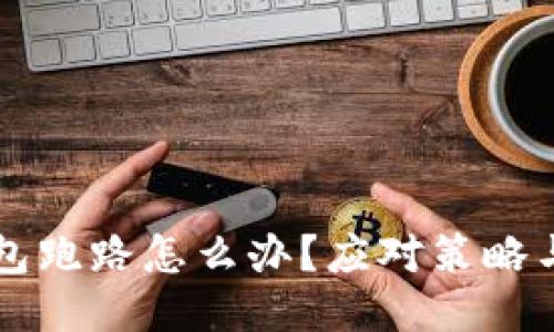 以太坊钱包跑路怎么办？应对策略与安全指南