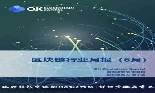 如何在小狐狸钱包中添加Matic网络：详细步骤与常见问题解答