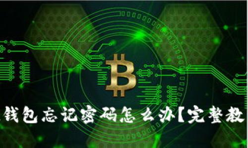 TokenPocket钱包忘记密码怎么办？完整教程与解决方案