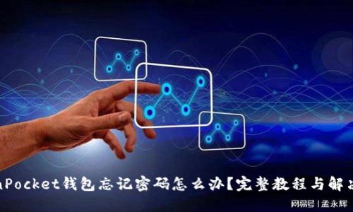 TokenPocket钱包忘记密码怎么办？完整教程与解决方案