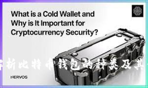 全面解析比特币钱包的种类及其优缺点