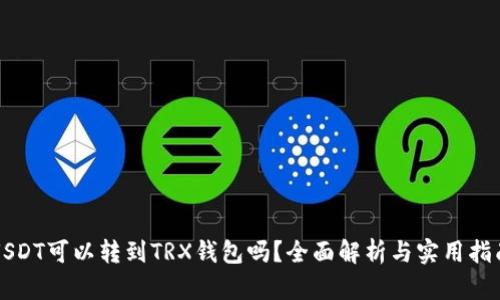 USDT可以转到TRX钱包吗？全面解析与实用指南
