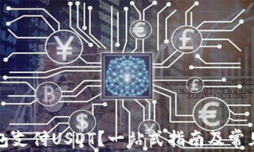 
如何用钱包支付USDT？一站式指南及常见问题解答