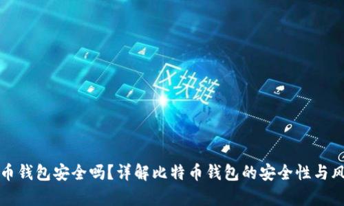 存比特币钱包安全吗？详解比特币钱包的安全性与风险管理