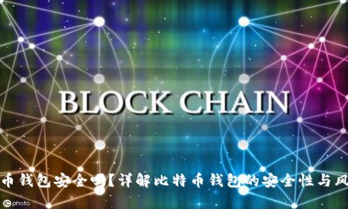 存比特币钱包安全吗？详解比特币钱包的安全性与风险管理