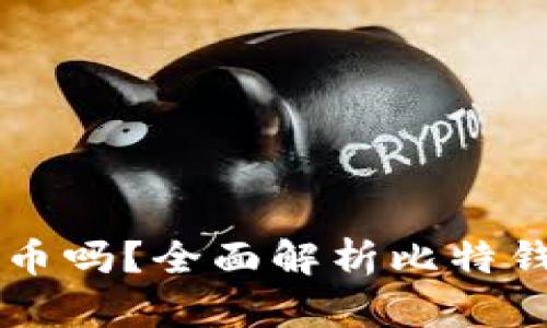 比特钱包支持瑞波币吗？全面解析比特钱包与瑞波币的关系