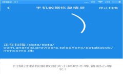 全面解析：适合存储狗狗