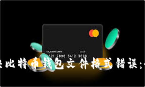 如何解决比特币钱包文件格式错误：全面指南