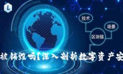TP钱包能被销毁吗？深入剖