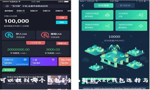XRP币可以提到哪个钱包？全面解析XRP钱包选择与安全性