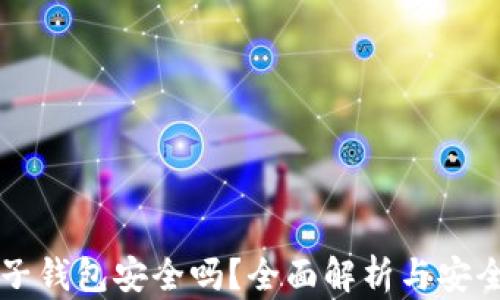 
比特币电子钱包安全吗？全面解析与安全防护指南