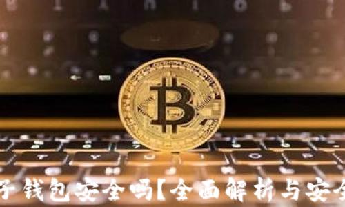 
比特币电子钱包安全吗？全面解析与安全防护指南