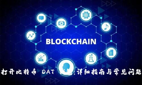 如何打开比特币 DAT 钱包：详细指南与常见问题解答