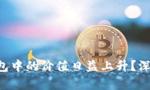 FIL币为何在TP钱包中的价值日益上升？深入分析与未来展望