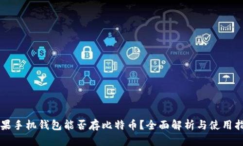 苹果手机钱包能否存比特币？全面解析与使用指南