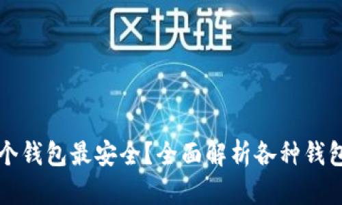 以太坊存放哪个钱包最安全？全面解析各种钱包类型及安全性