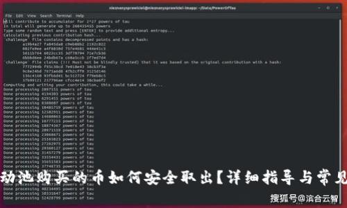 TP钱包流动池购买的币如何安全取出？详细指导与常见问题解析