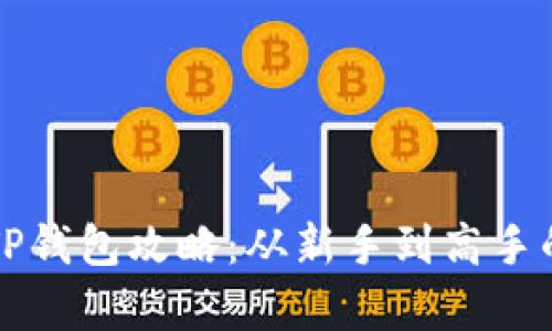 全面解析TP钱包攻略：从新手到高手的全面指南