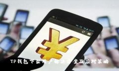 TP钱包下架用户解决方案及应对策略