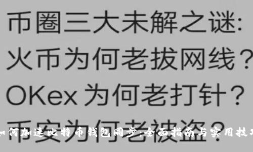 如何加速比特币钱包同步：全面指南与实用技巧