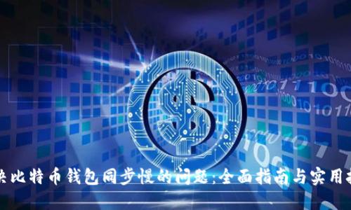解决比特币钱包同步慢的问题：全面指南与实用技巧