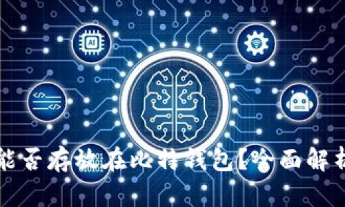 狗狗币能否存放在比特钱包？全面解析与指南