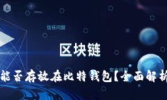 狗狗币能否存放在比特钱