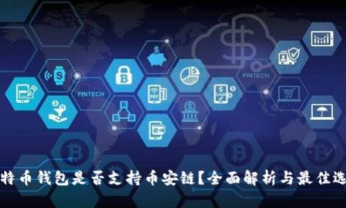 比特币钱包是否支持币安链？全面解析与最佳选择