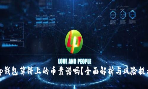 tp钱包薄饼上的币靠谱吗？全面解析与风险提示